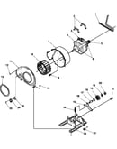 Motor and fan assemblies