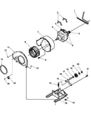 Motor and fan assemblies