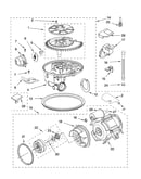 Pump and motor parts