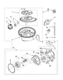 Pump and motor parts