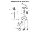 Kenmore 66514572N612 pump, washarm and motor parts diagram