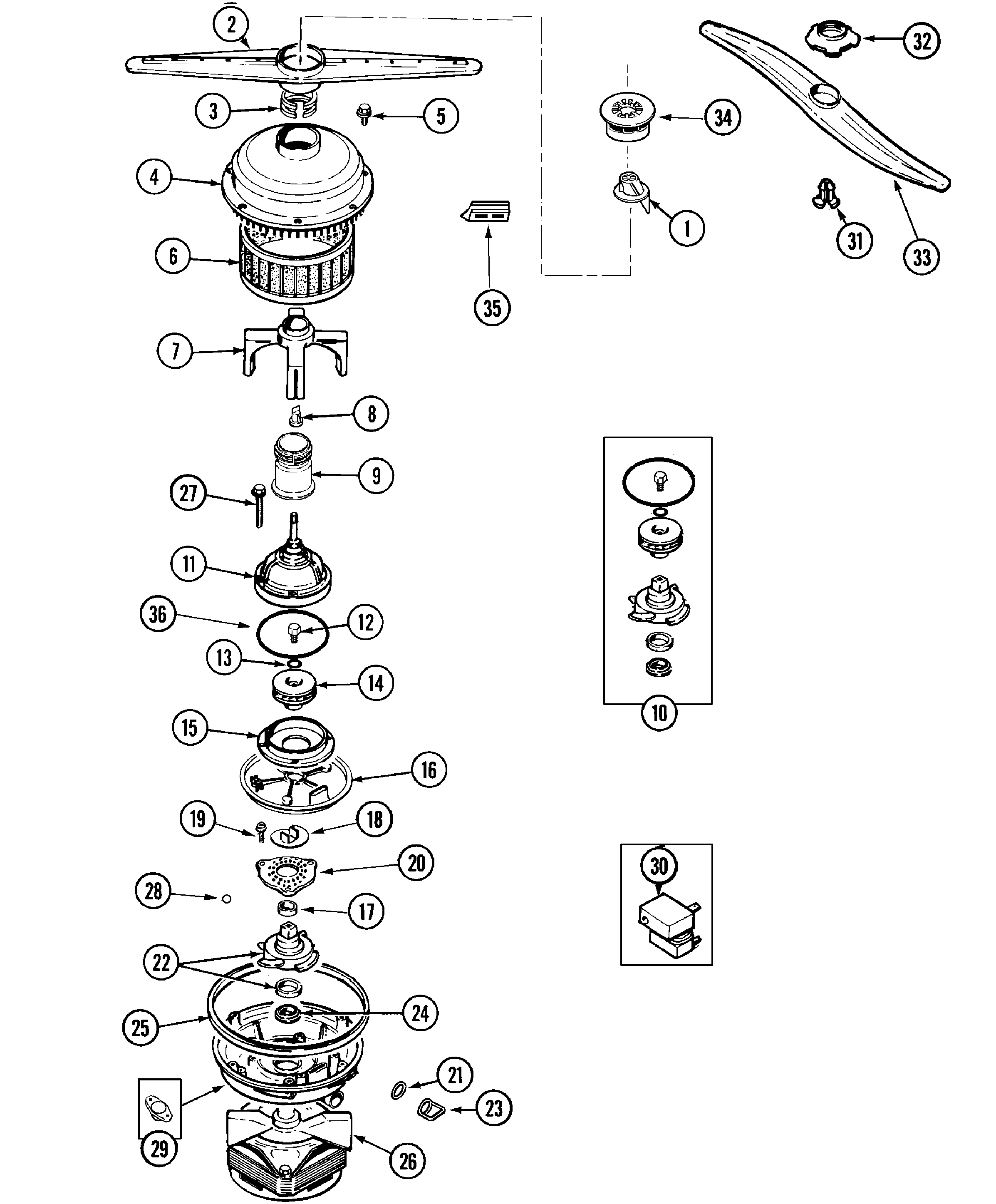 Pump & motor