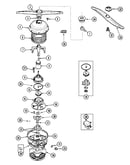 Pump & motor