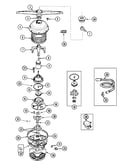 Pump & motor