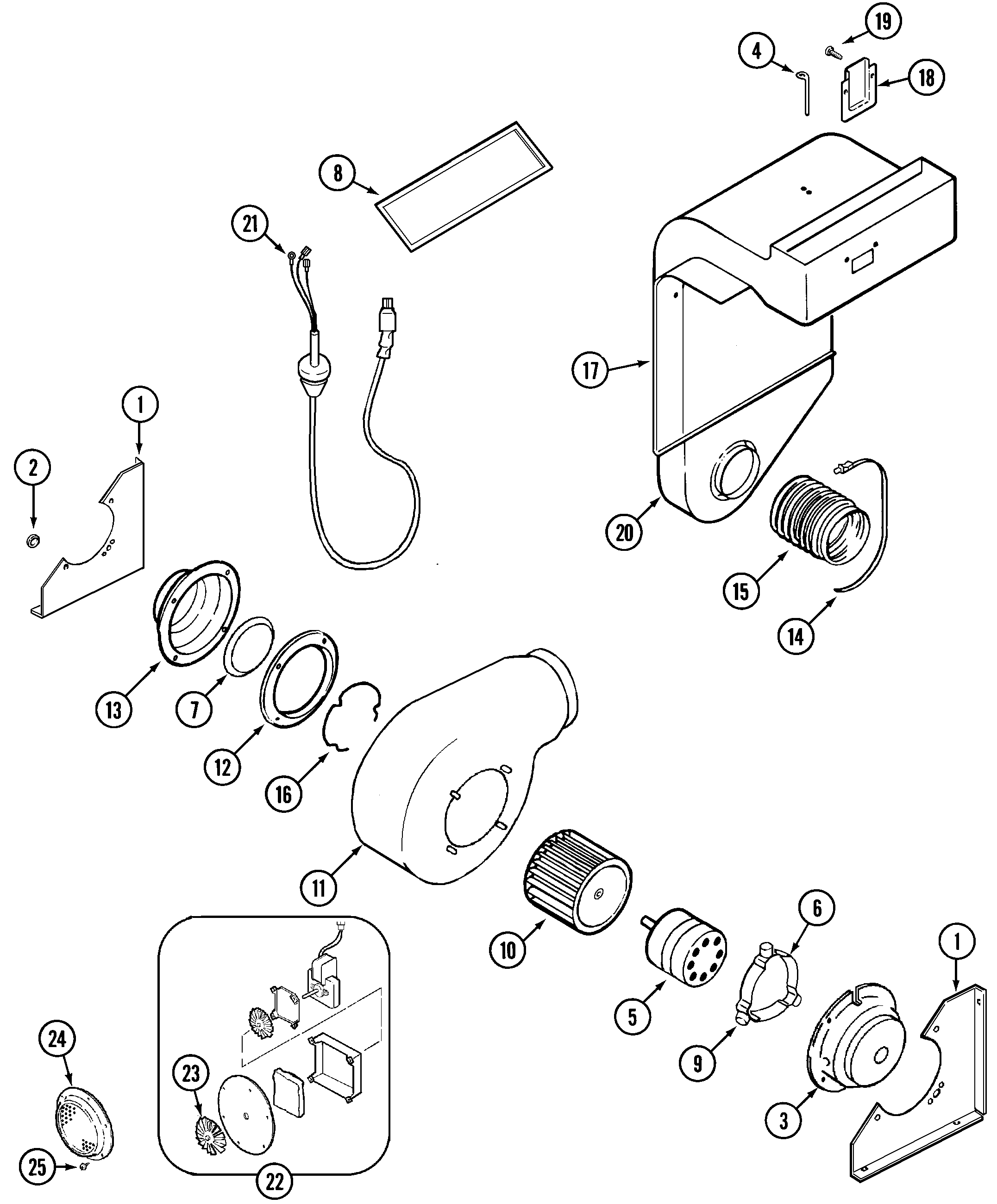 Blower & convect assy.