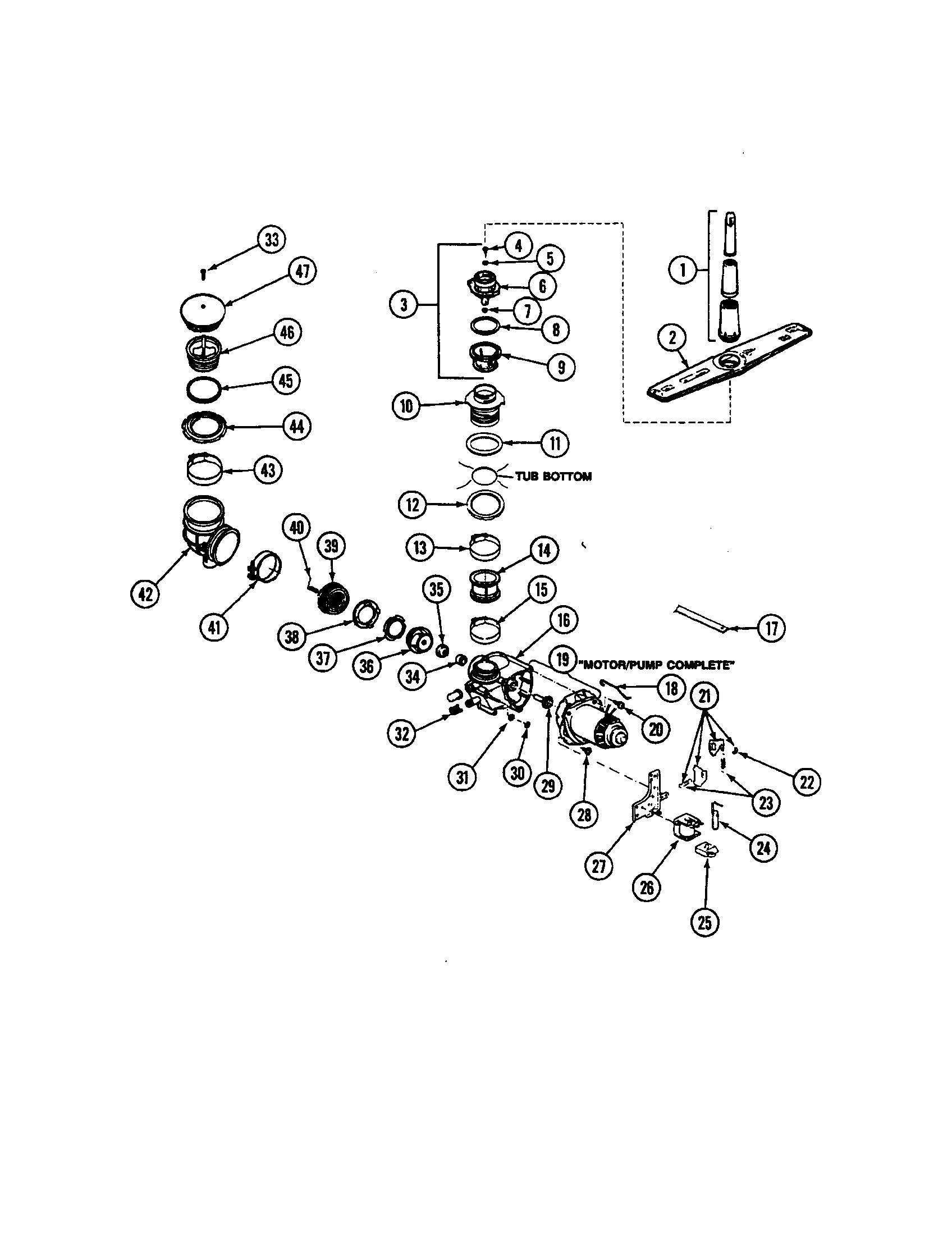 Pump and motor