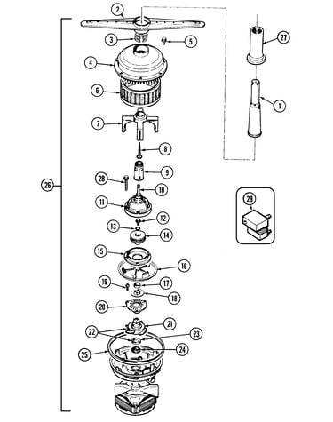 Pump & motor