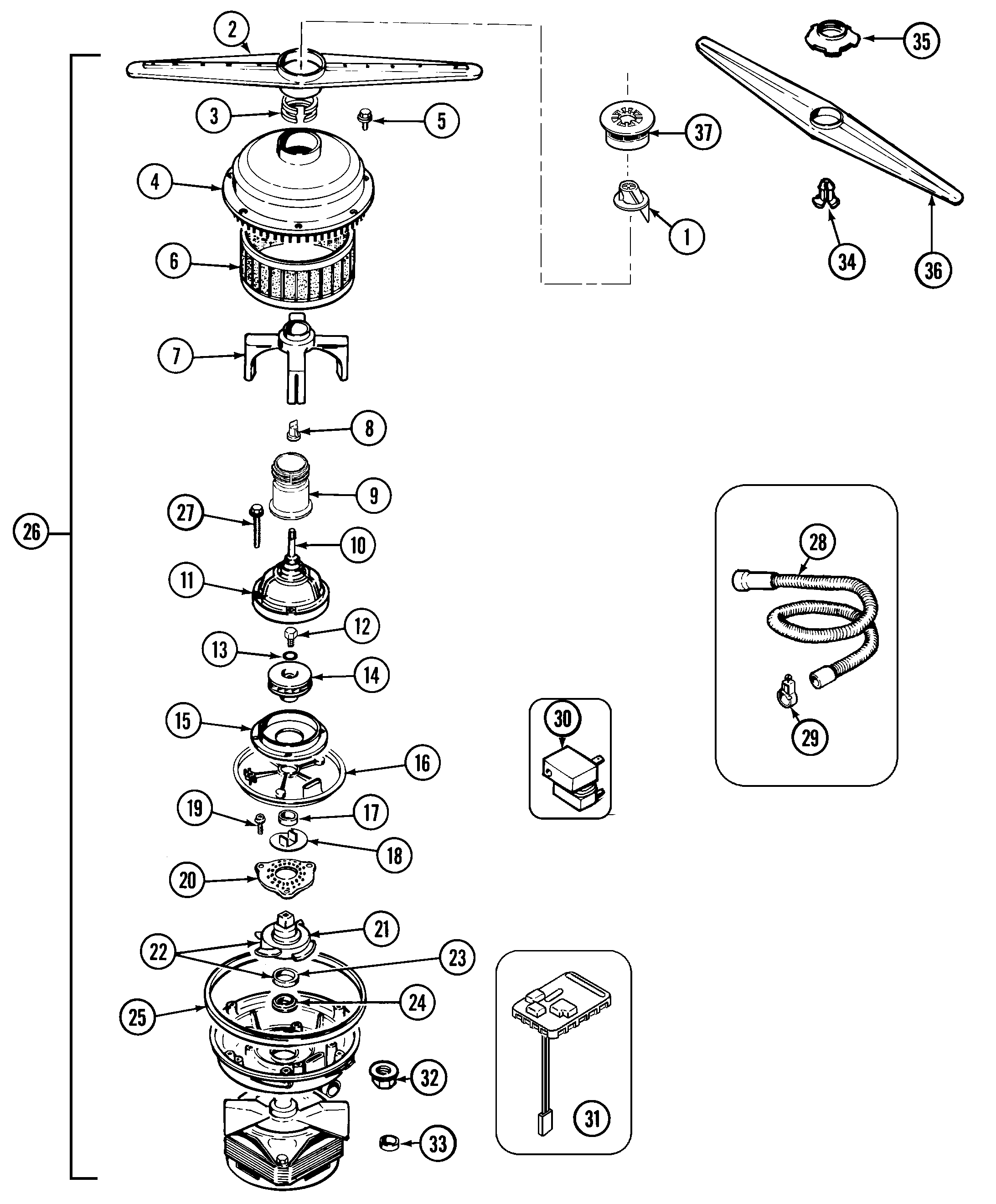 Pump & motor