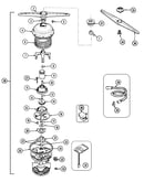 Pump & motor