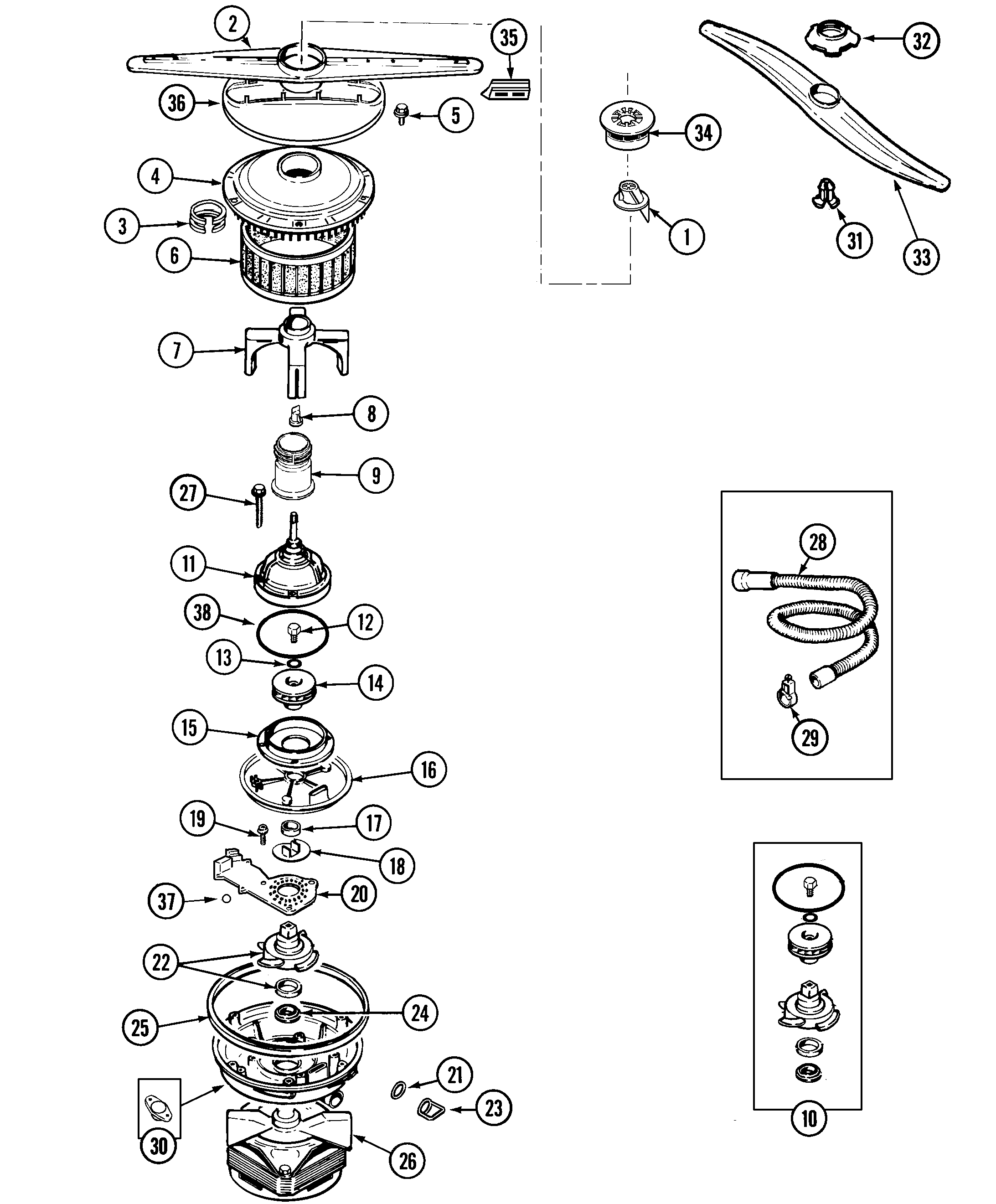 Pump & motor
