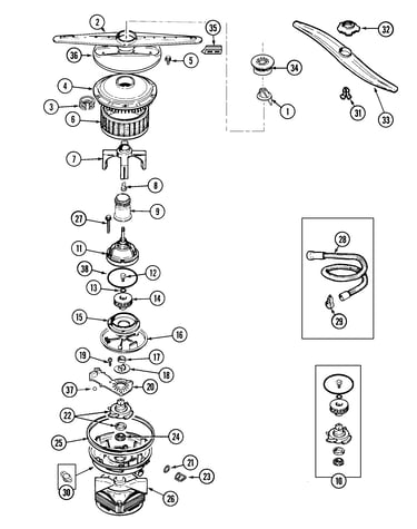 Pump & motor
