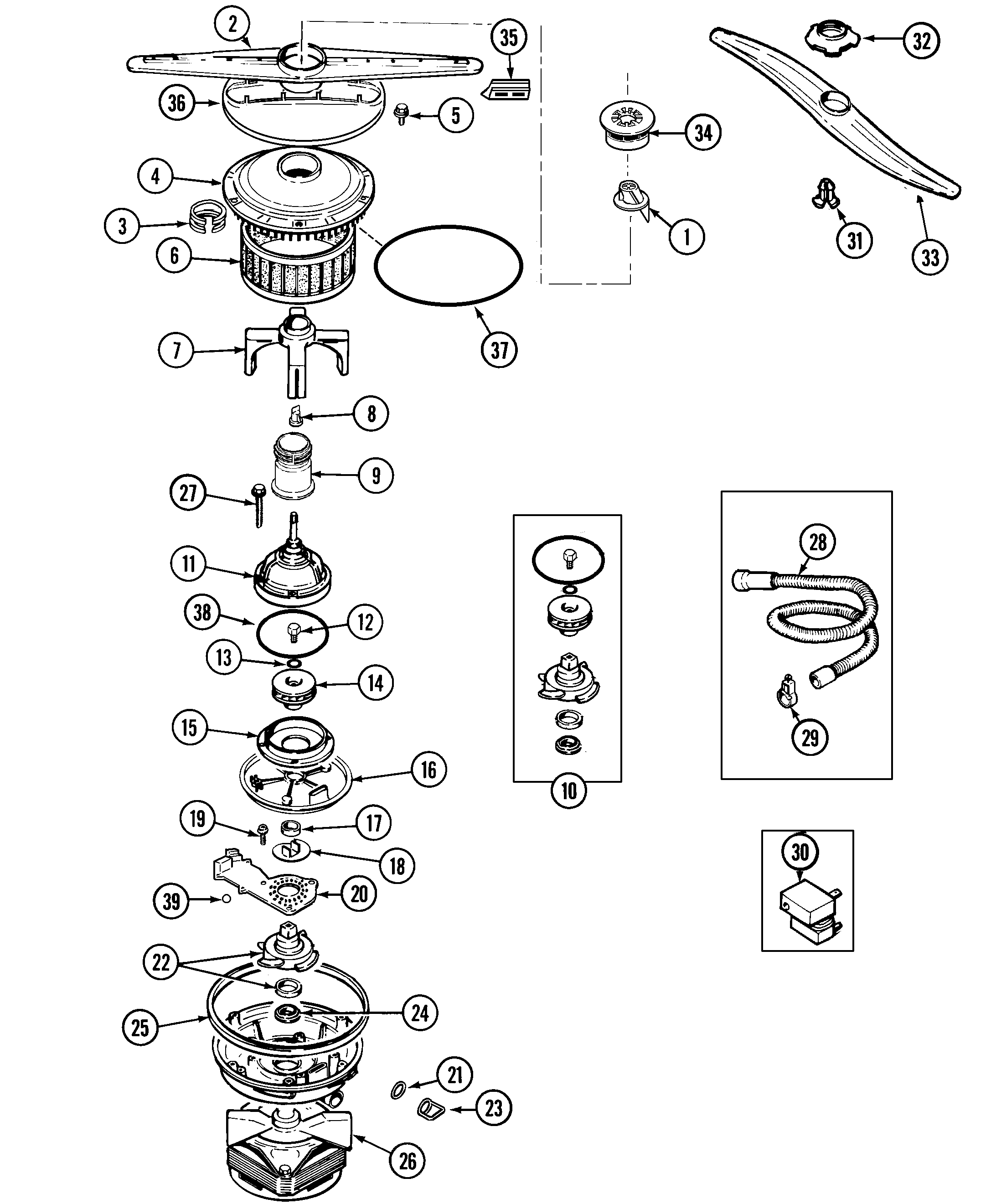 Pump & motor