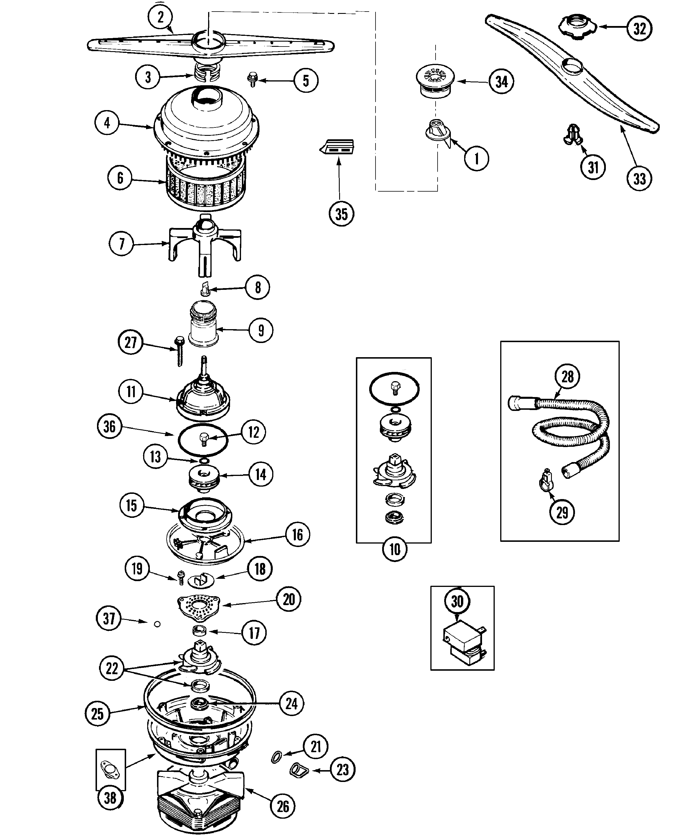 Pump & motor