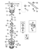 Pump & motor