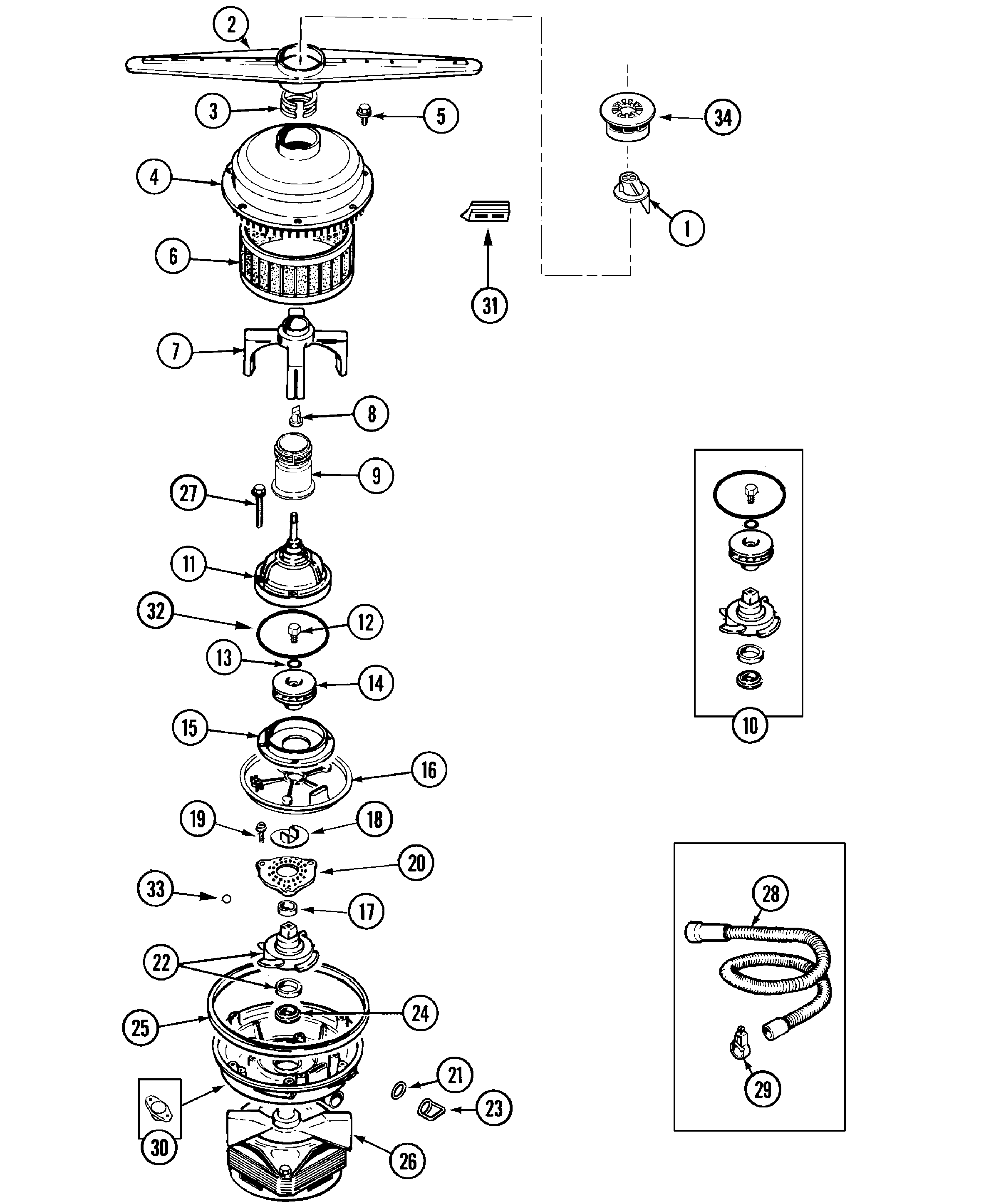 Pump & motor