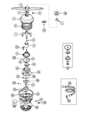 Pump & motor