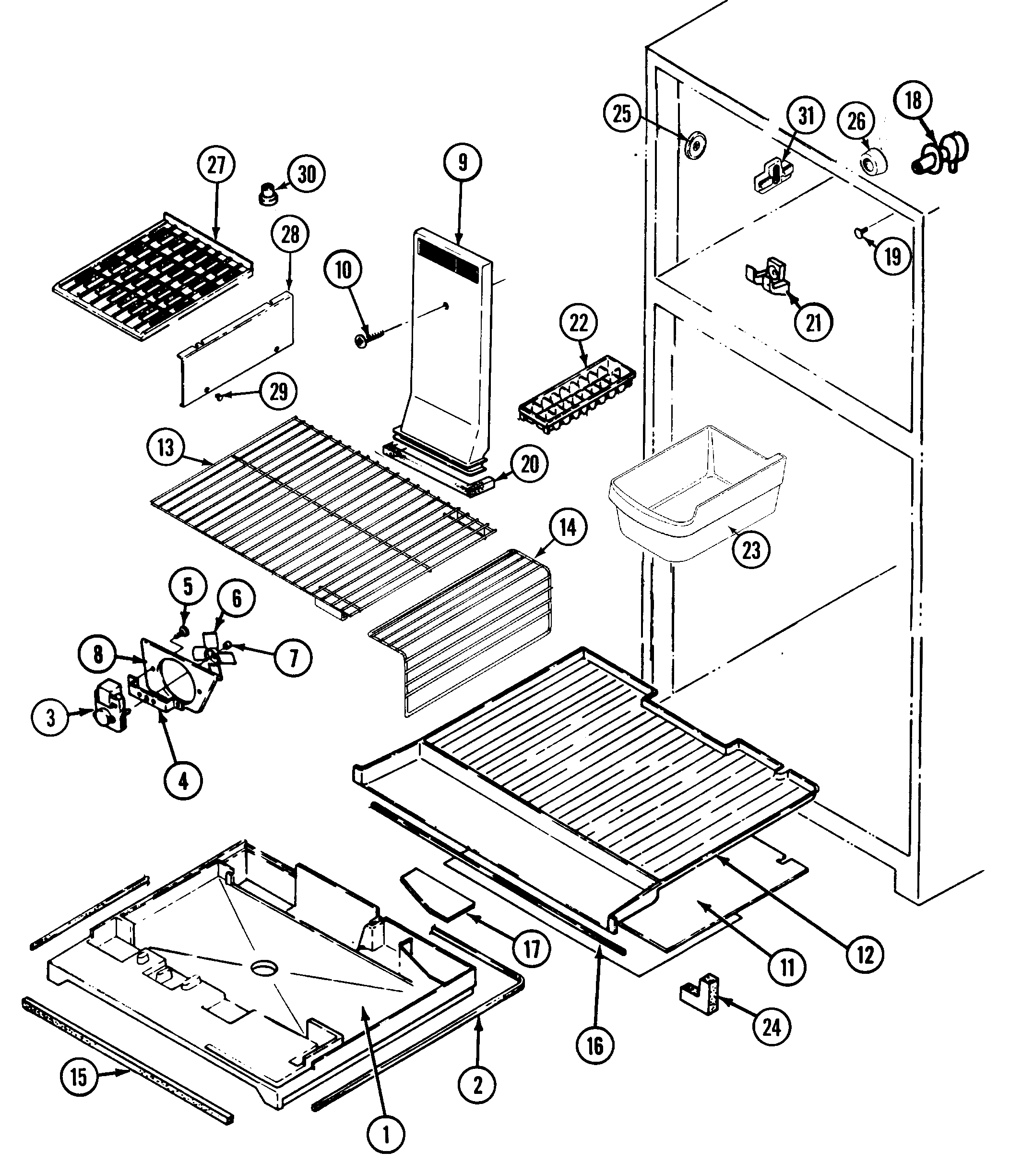 Freezer compartment