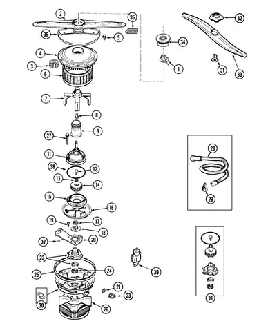 Pump & motor