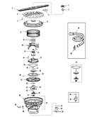 Pump & motor