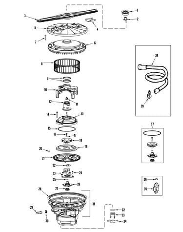 Pump & motor