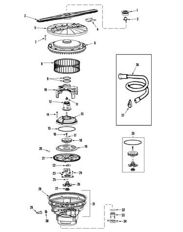 Pump & motor