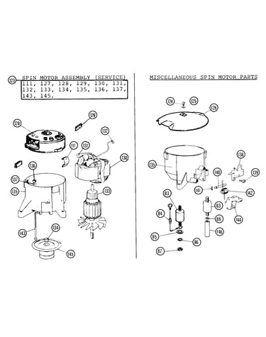 Spinmotor_late