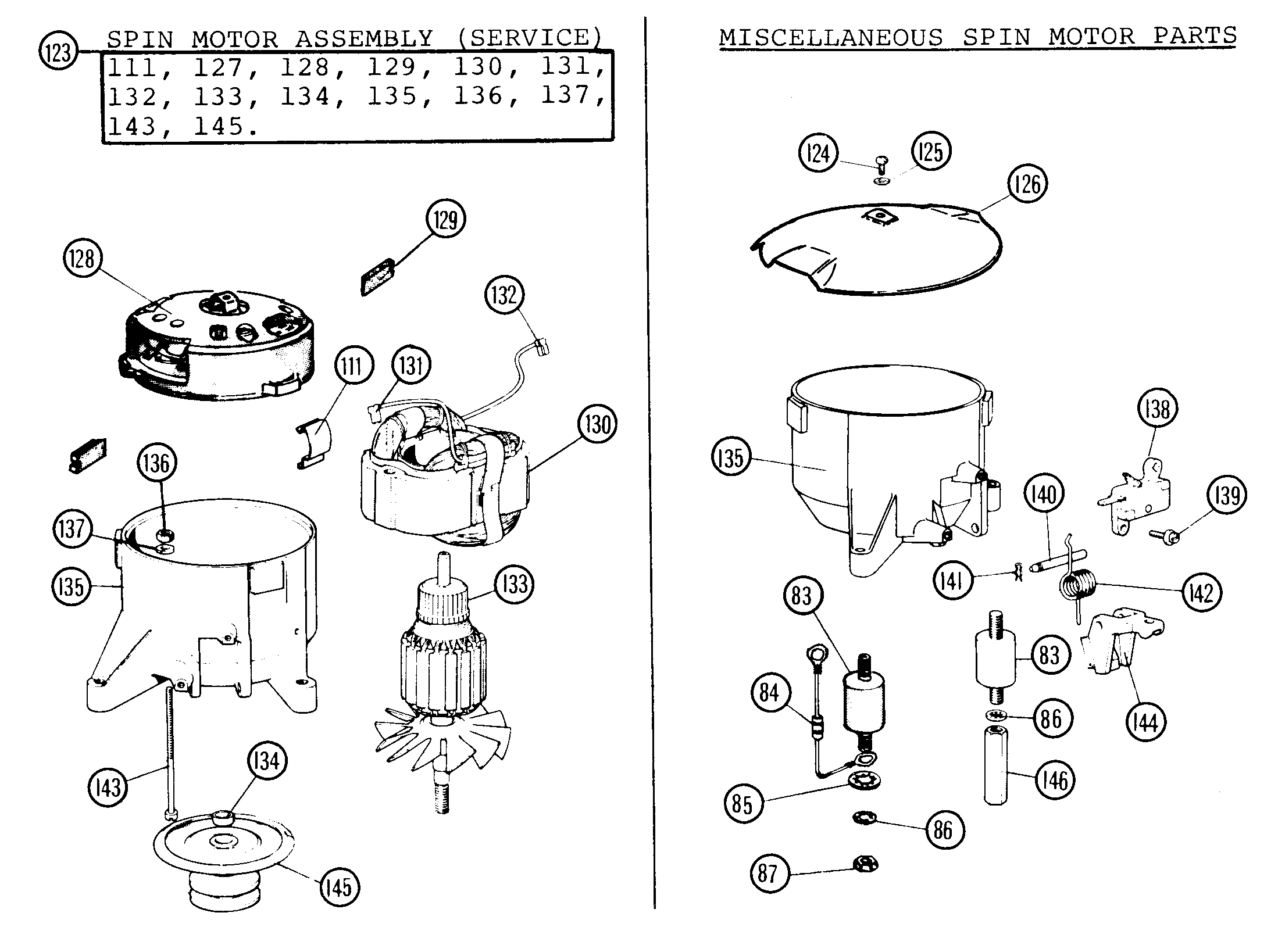 Spinmotor_late