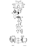 Spinmotor_late