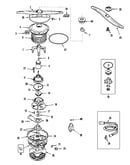 Pump & motor