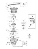 Pump & motor