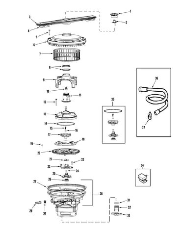 Pump & motor