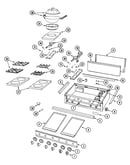 Top assembly/gas controls
