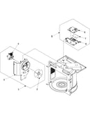 Blower motor