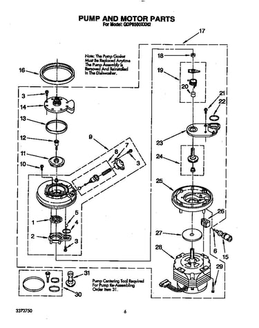 Pump and motor