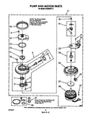 Pump and motor