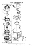Pump and motor