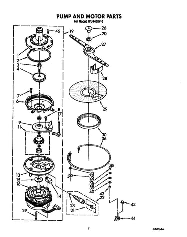Pump and motor