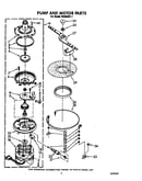 Pump and motor