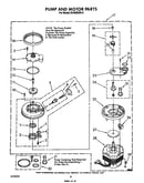 Pump and motor