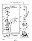 Pump and motor
