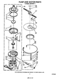 Pump and motor