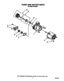 Pump and motor
