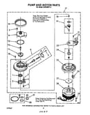 Pump and motor