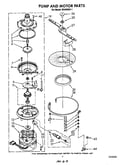 Pump and motor