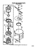 Pump and motor