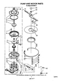 Pump and motor