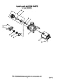 Pump and motor