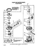 Pump and motor