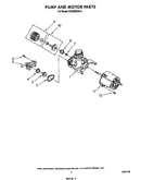 Pump and motor