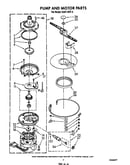 Pump and motor